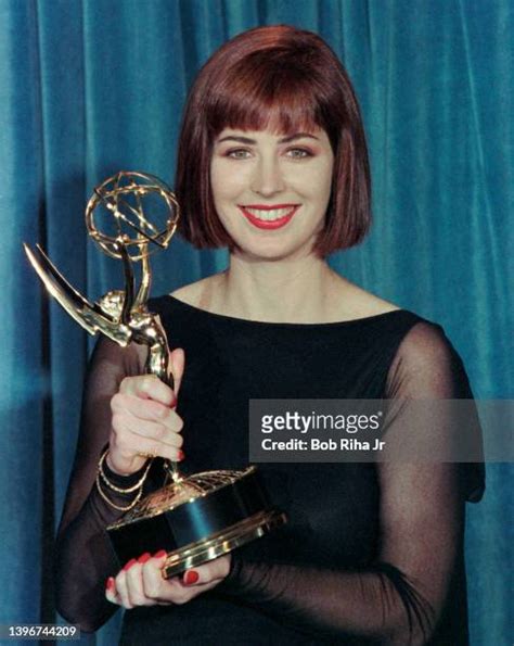 dana delany sexy|147 Dana Delany Getty Photos and High